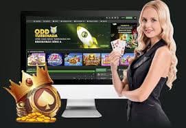 bq88